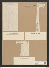 Licmophora ovata Grun. (de-Toni-Nr.: Genus 86, Species 2964) Zeichnungen Sammlung Grunow Nr. 6006 (NHMW-BOT-W0374501)